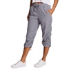 Dolphin Grey